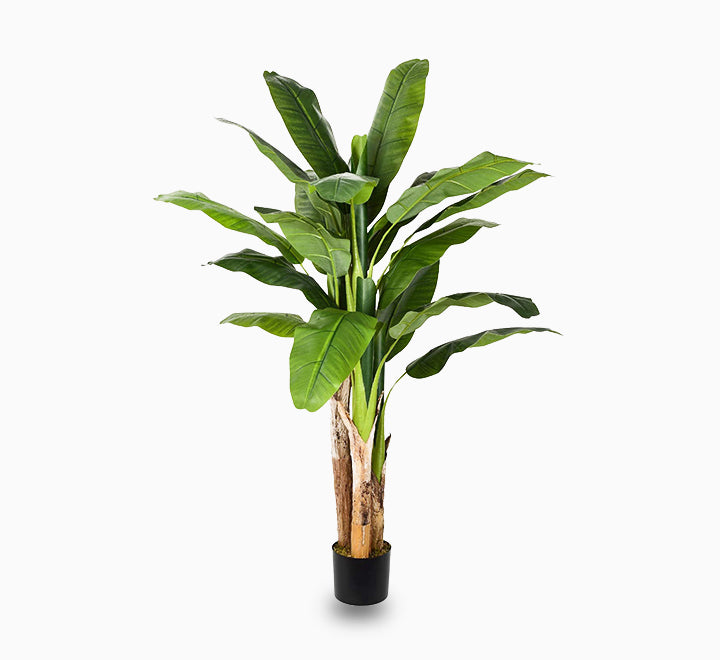 Artificial Banana Tree 1.8 m