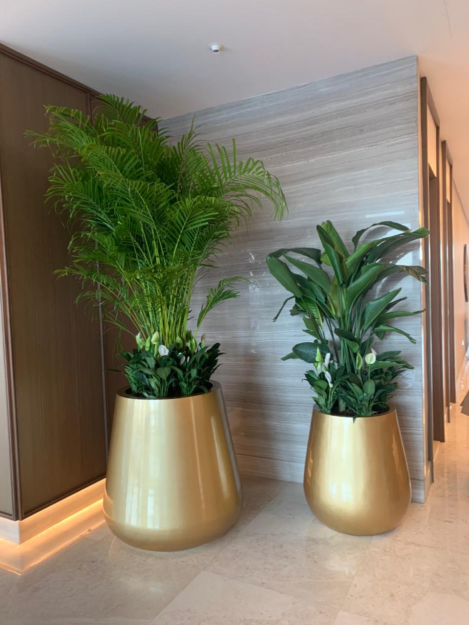 Combo Plants Bundle of 12 | Peace Lilies, Areca Palm & Bird of Paradise in Ceramic Pots – Lush Greenery