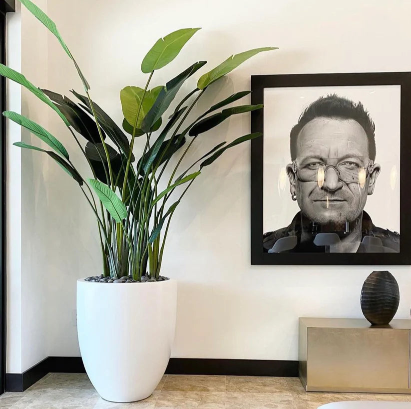 Artificial Travellers Palm