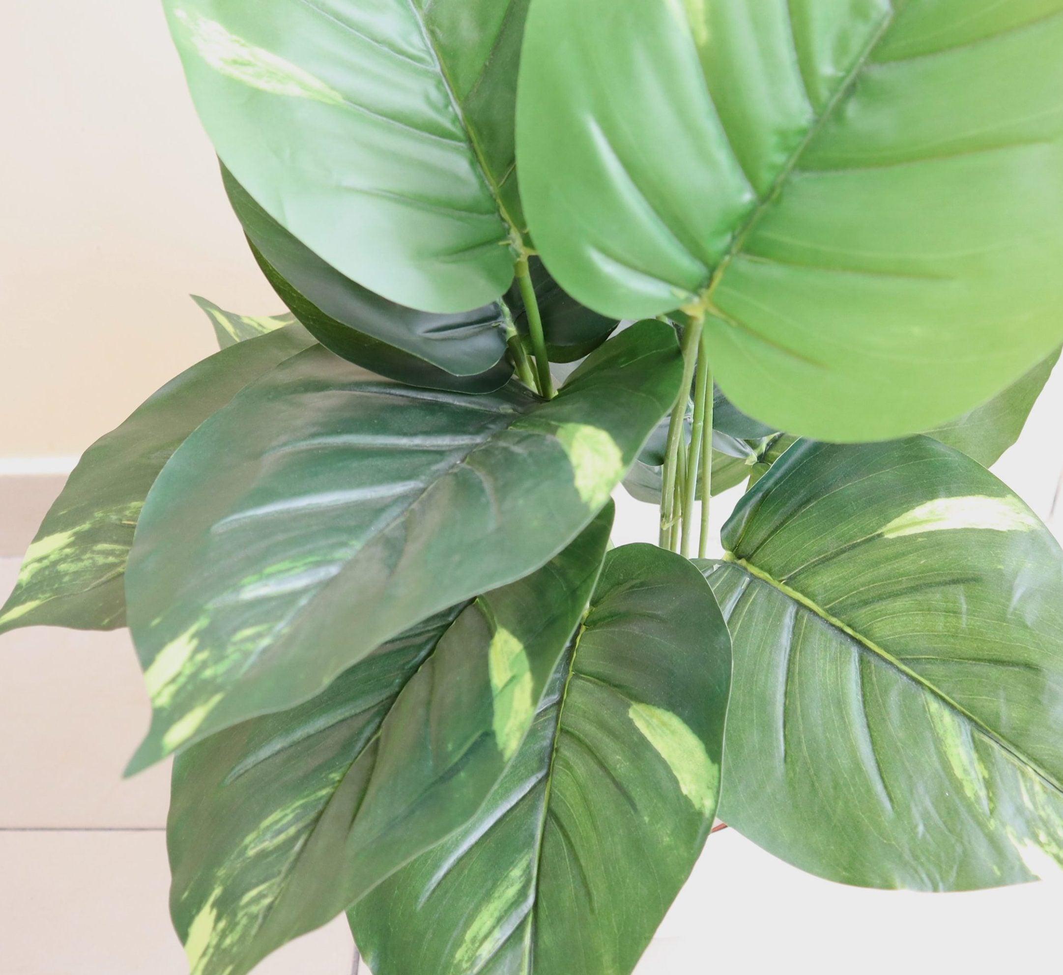 Artificial Calathea Green 50cm