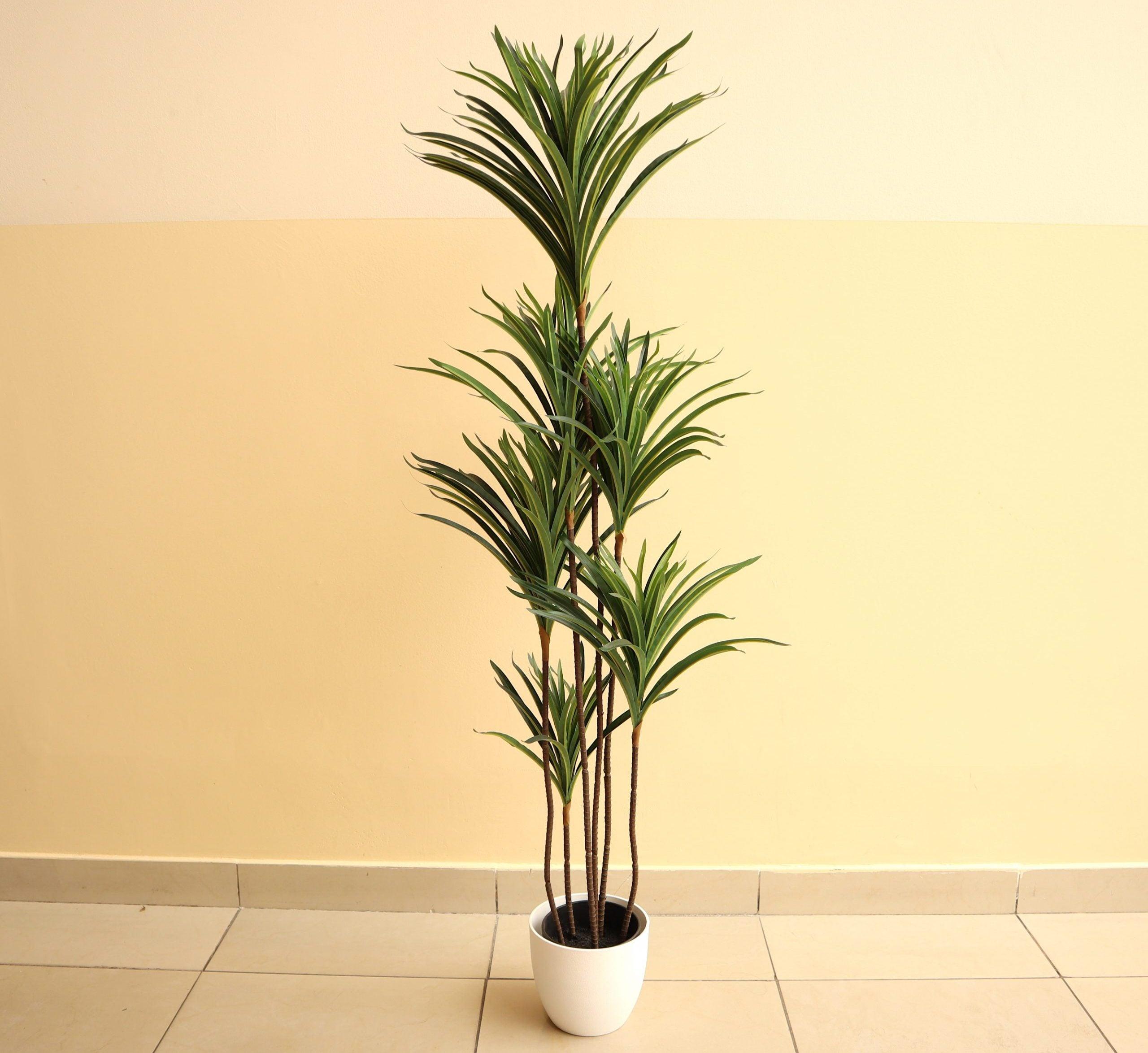 Artificial Dracaena Marginata 150cm