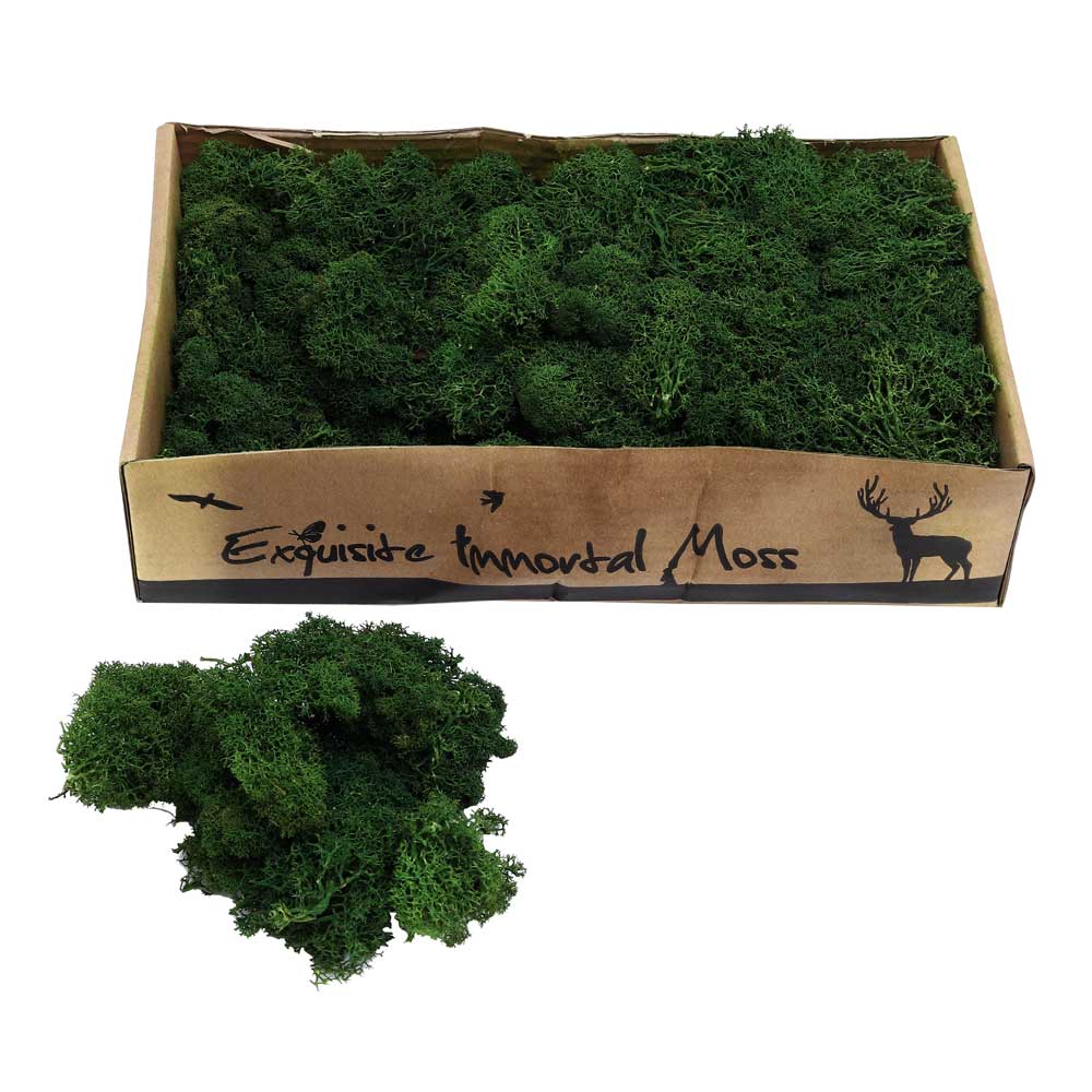 Eternal Life Preserved Moss Grass Wall