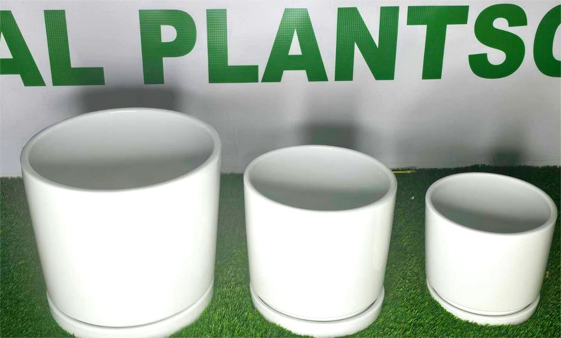 Table Top Pots/Frame/Stand Pots