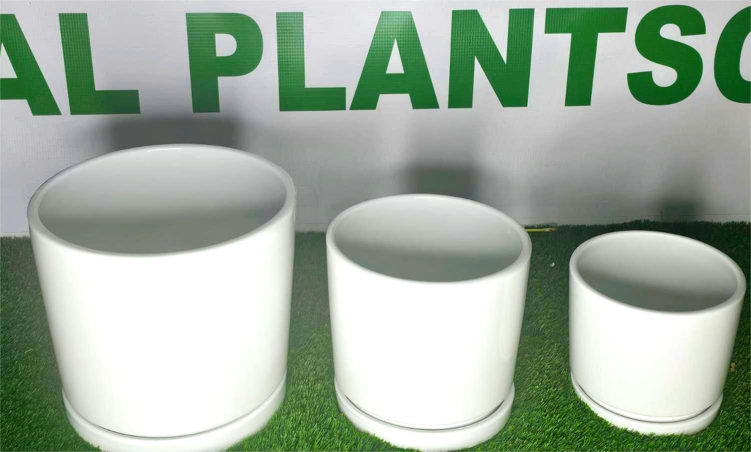 Table Top Pots/Frame/Stand Pots