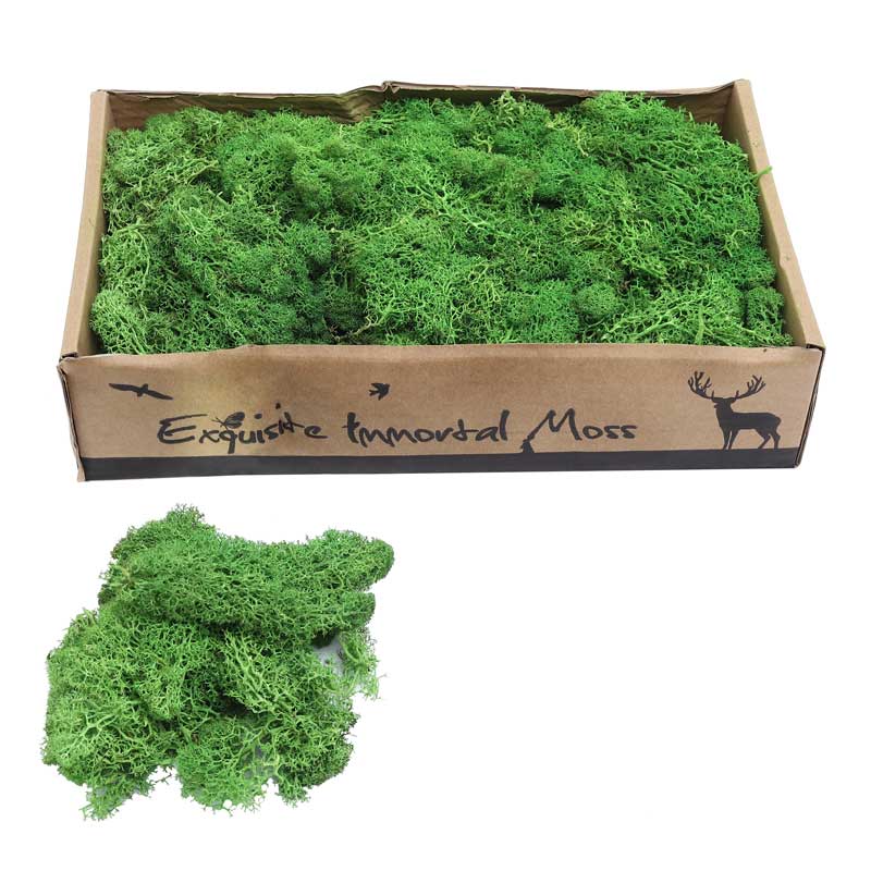 Eternal Life Preserved Moss Grass Wall