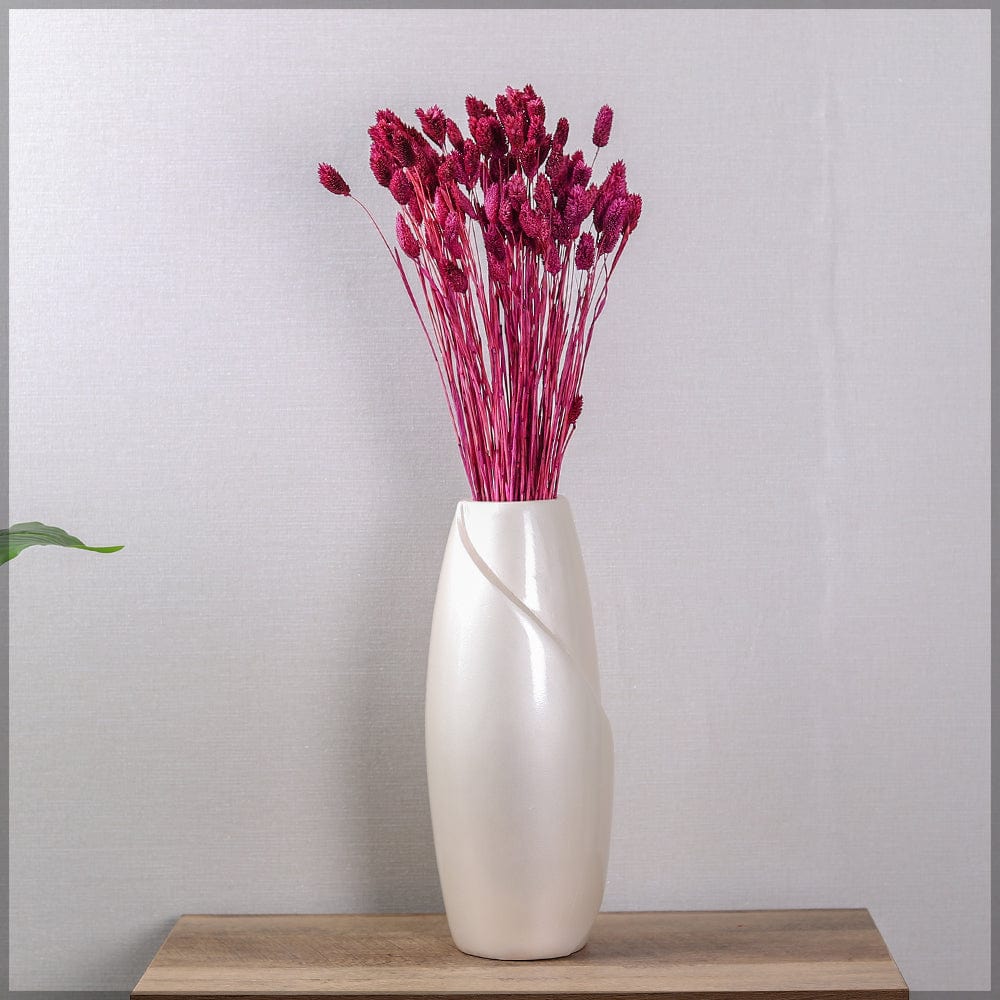 Two Bunches Dried Phalaris Grass