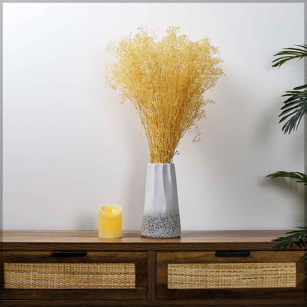 2bunches Dried Gypsophila Flowers