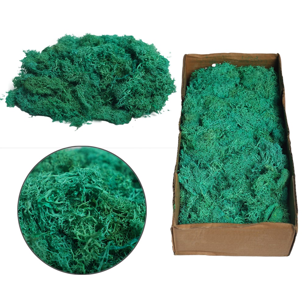 Preserved Fresh Moss 1 Box