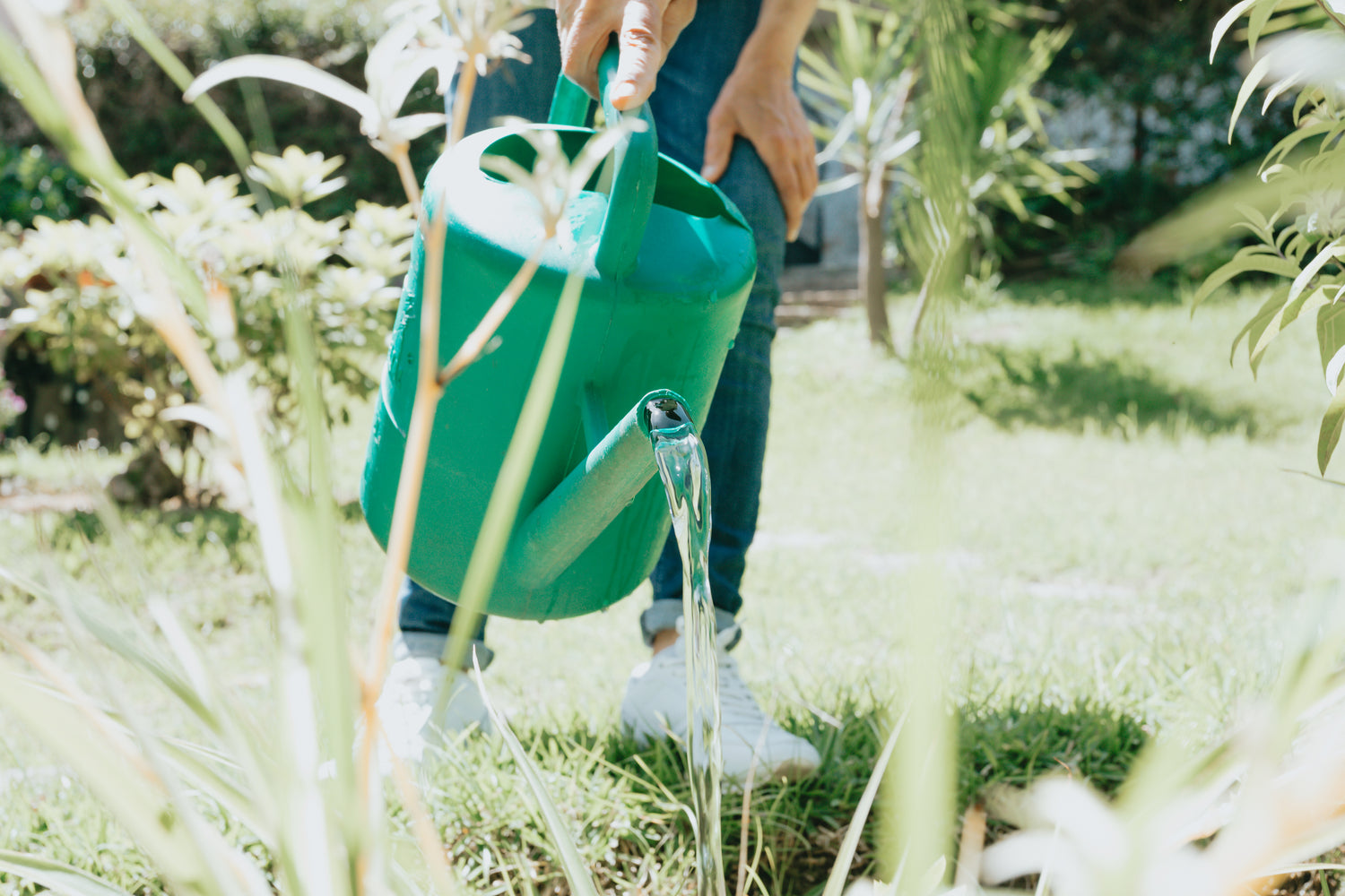 best landscape gardeners