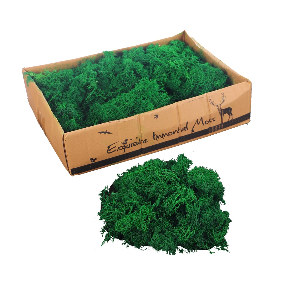 Natural Preserved Fresh Moss Grass