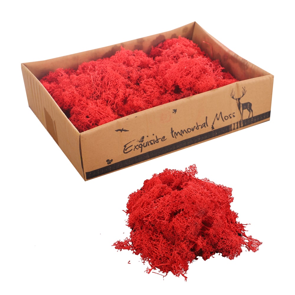 Natural Preserved Fresh Moss Grass