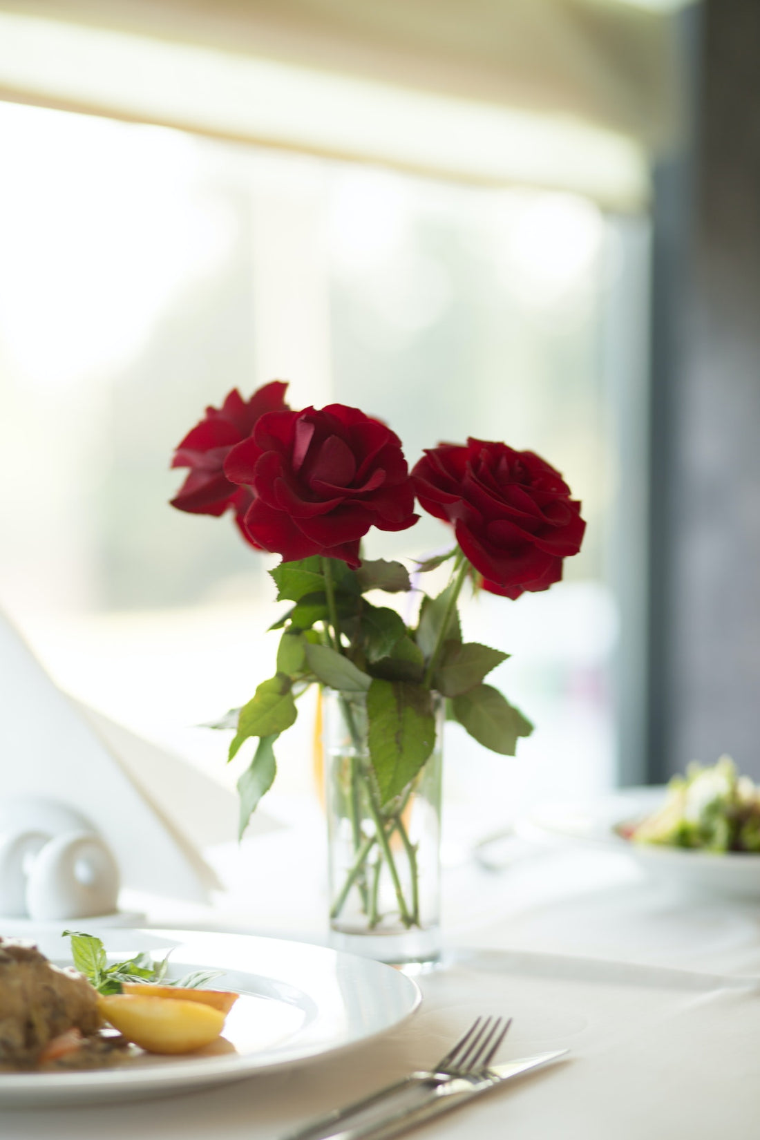 Roses | Elegant Natural Beauty for Your Space