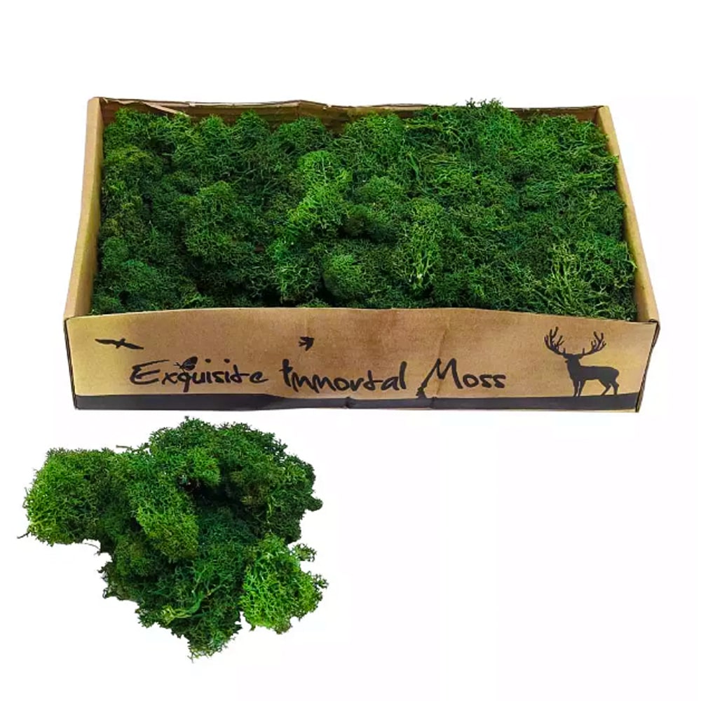 Eternal Life Preserved Moss Grass Wall