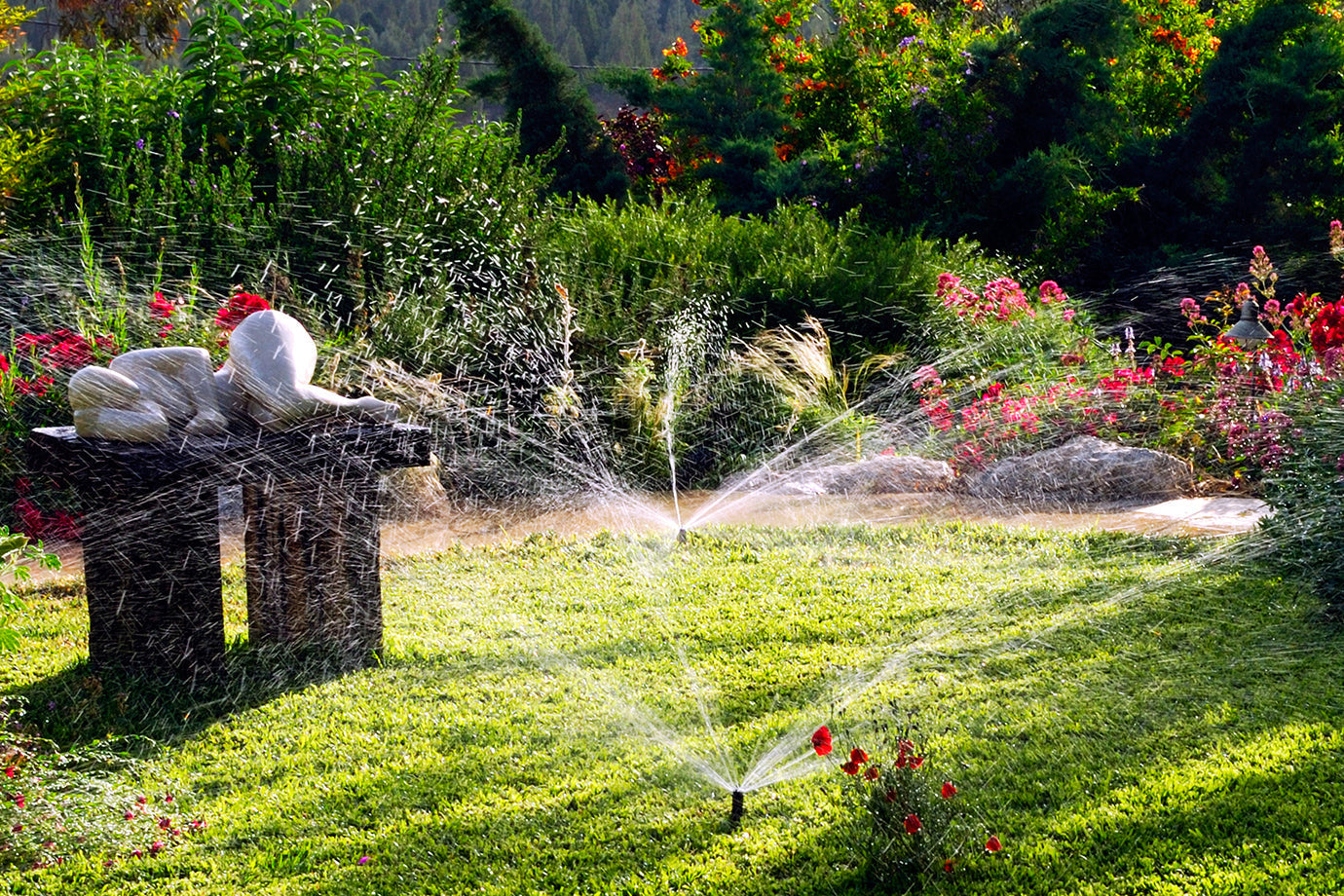 Automatic Irrigation