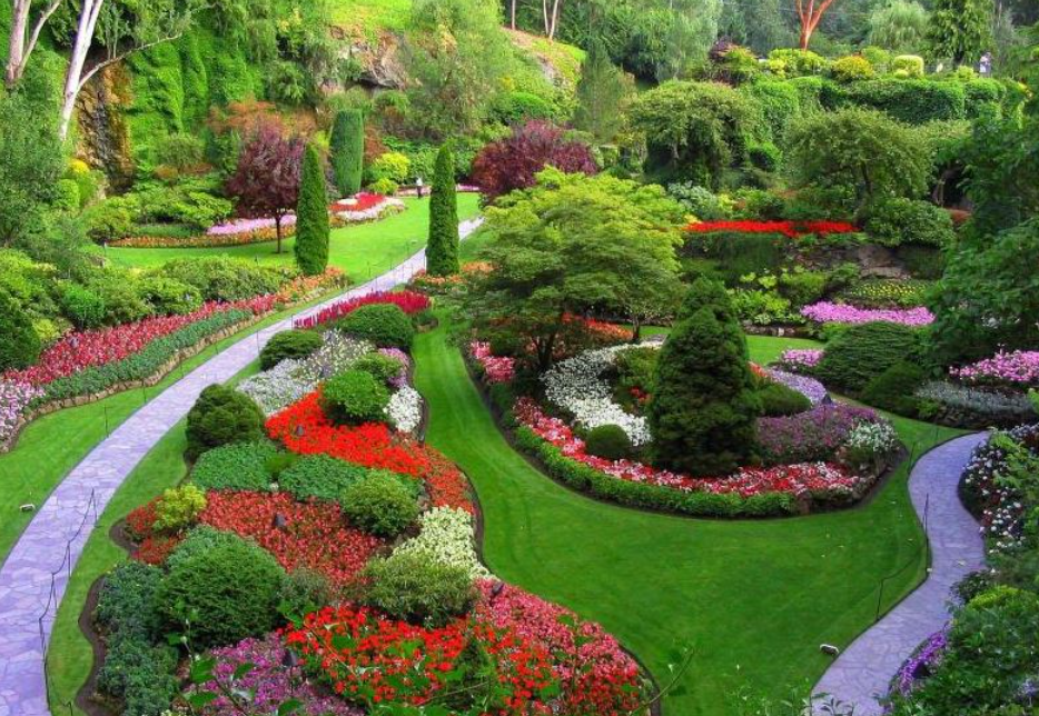 Modern Outdoor Garden Design Ideas for 2025