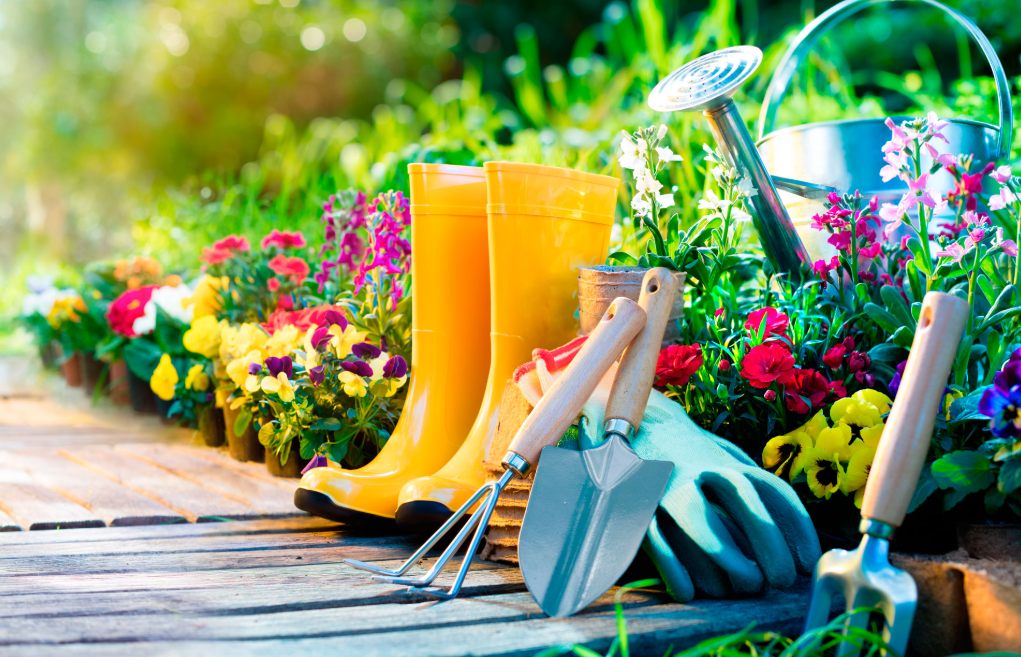 Essential Tools for Outdoor Plant Care