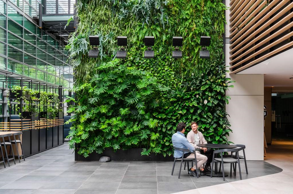 Vertical Plant Walls