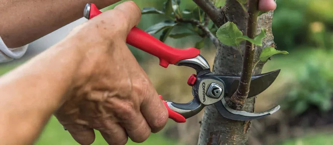 Buy Garden Accessories in Dubai