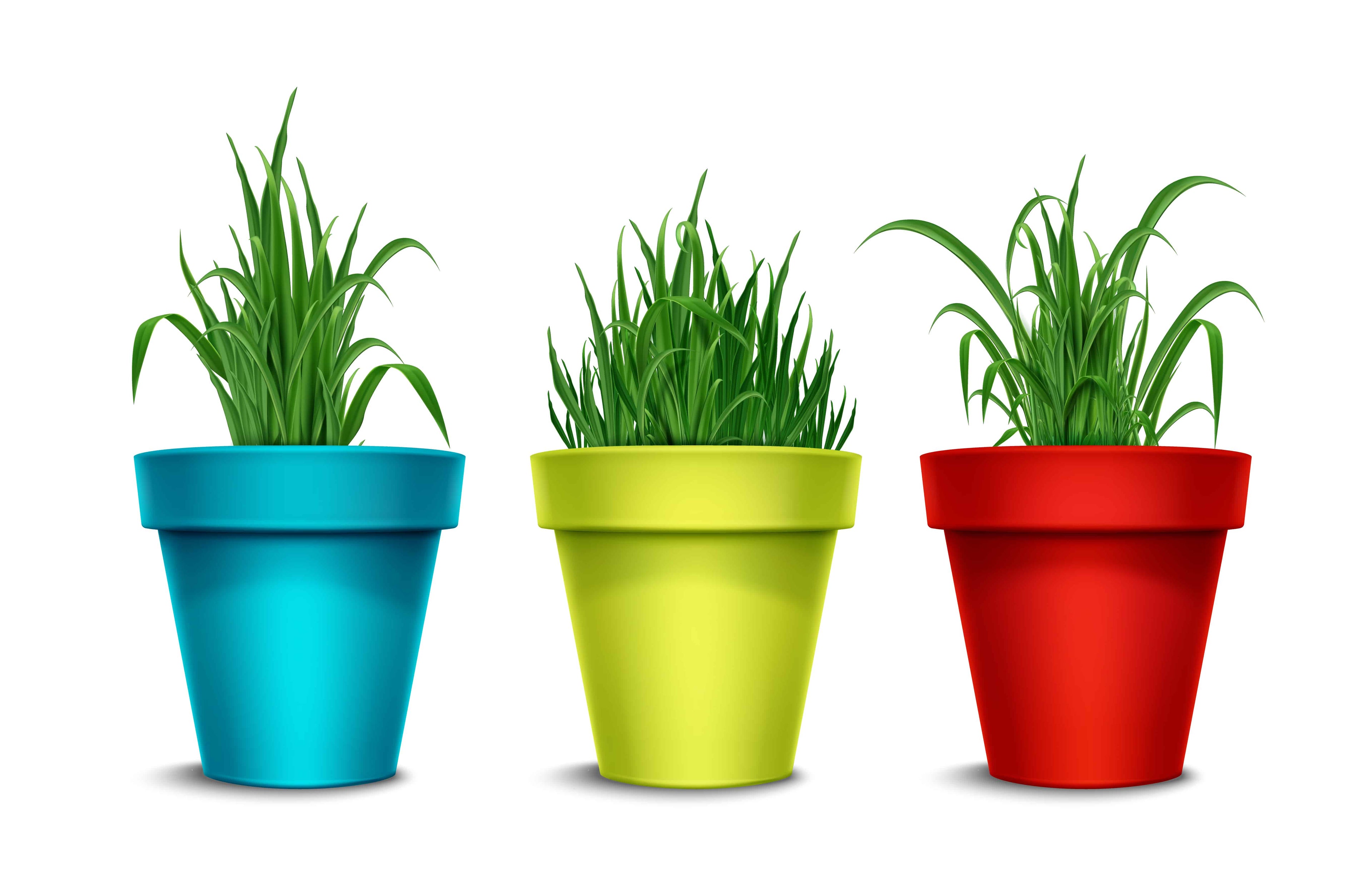 Fiber Garden Pots Indoor