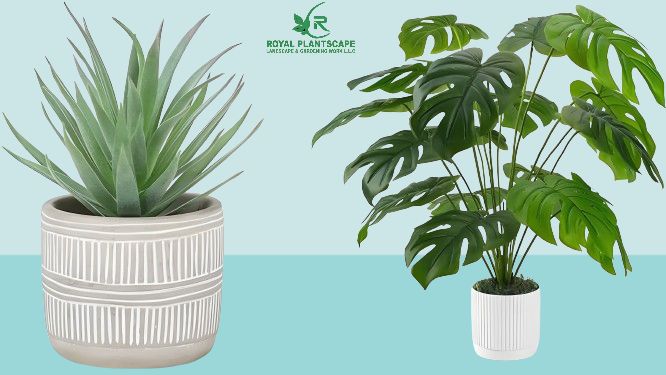 Small Artificial Plants in Dubai