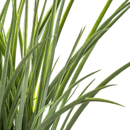 Artificial Grass W/Braided Pot (50 x 48.5 cm)