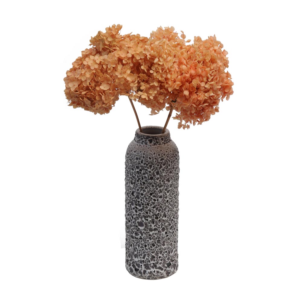 Natural Dried Preserve Hydrangea Flower