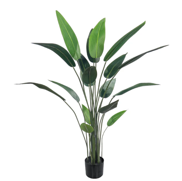 Artificial Bird of Paradise Plant - Strelitzia - Best Plants for decoration&