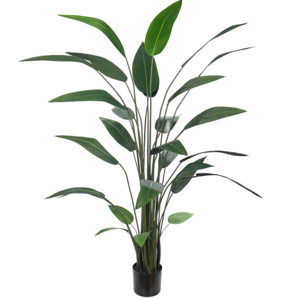 Artificial Bird of Paradise Plant - Strelitzia - Best Plants for decoration&