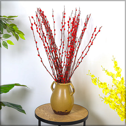 Red Silver Willow Dried Flower