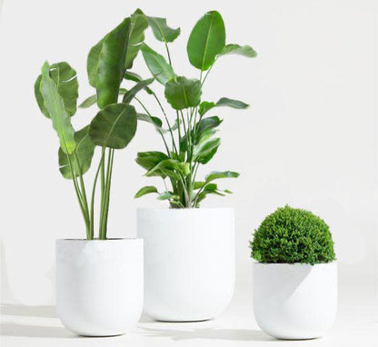 Round Fiber pots Small, Medium and Large