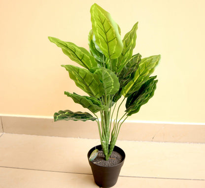 Artificial Calathea 50cm