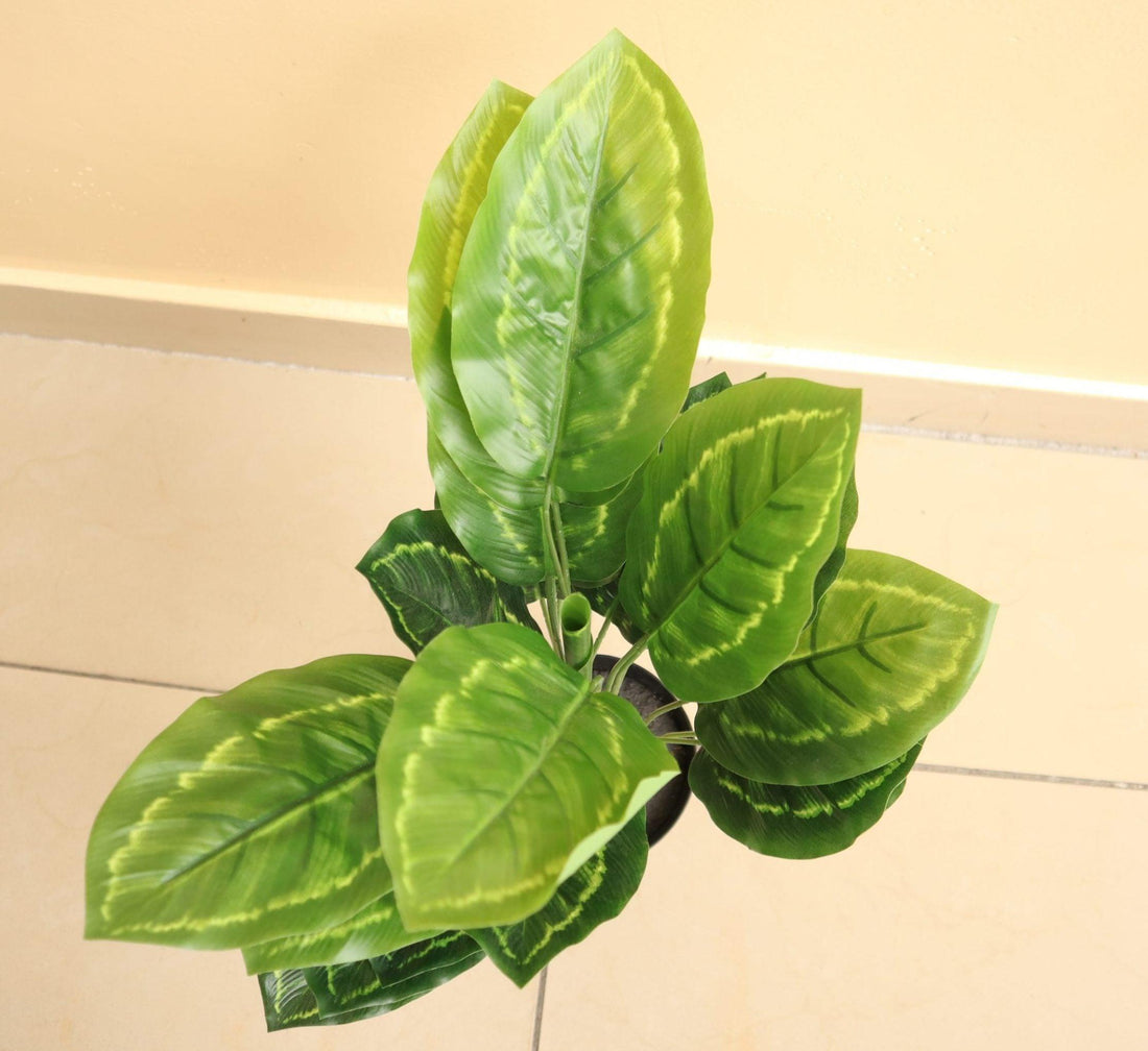 Artificial Calathea 50cm