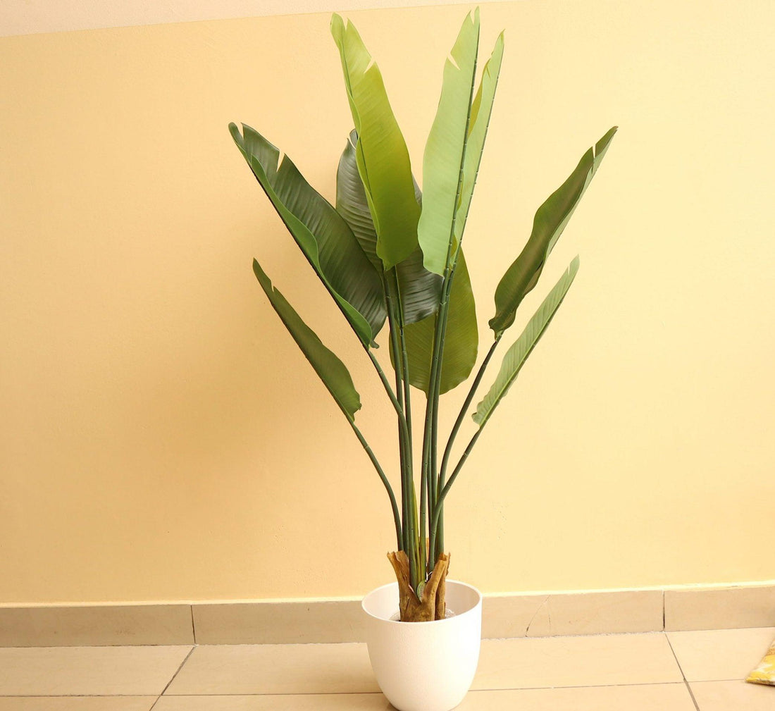 Artificial Paradise 1.2m