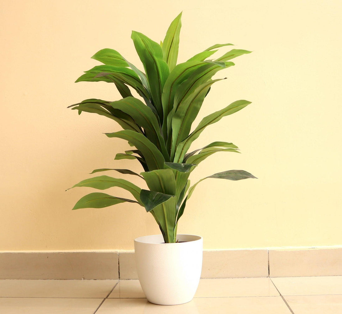 Artificial Dracaena Compacta 80cm