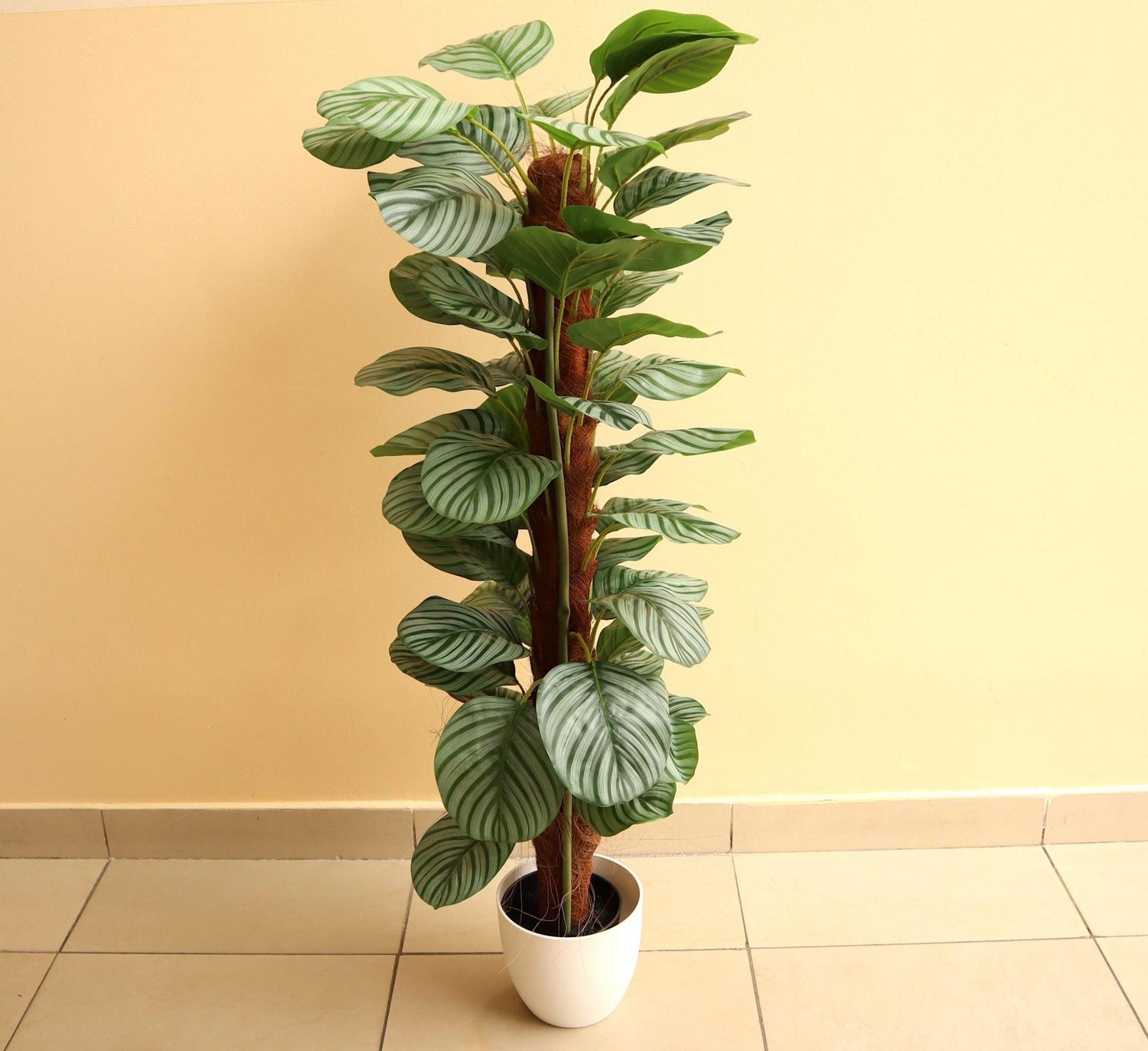 Artificial Calathea Orbifolia 130cm