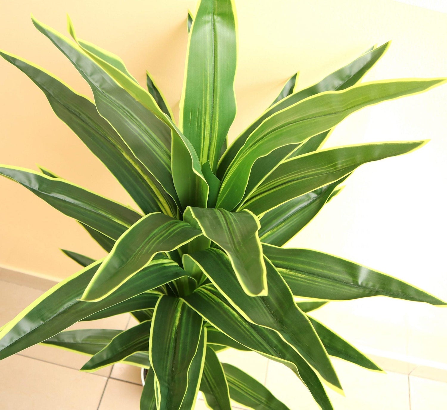 Artificial Dracaena fragrans “Golden Coast” 130cm