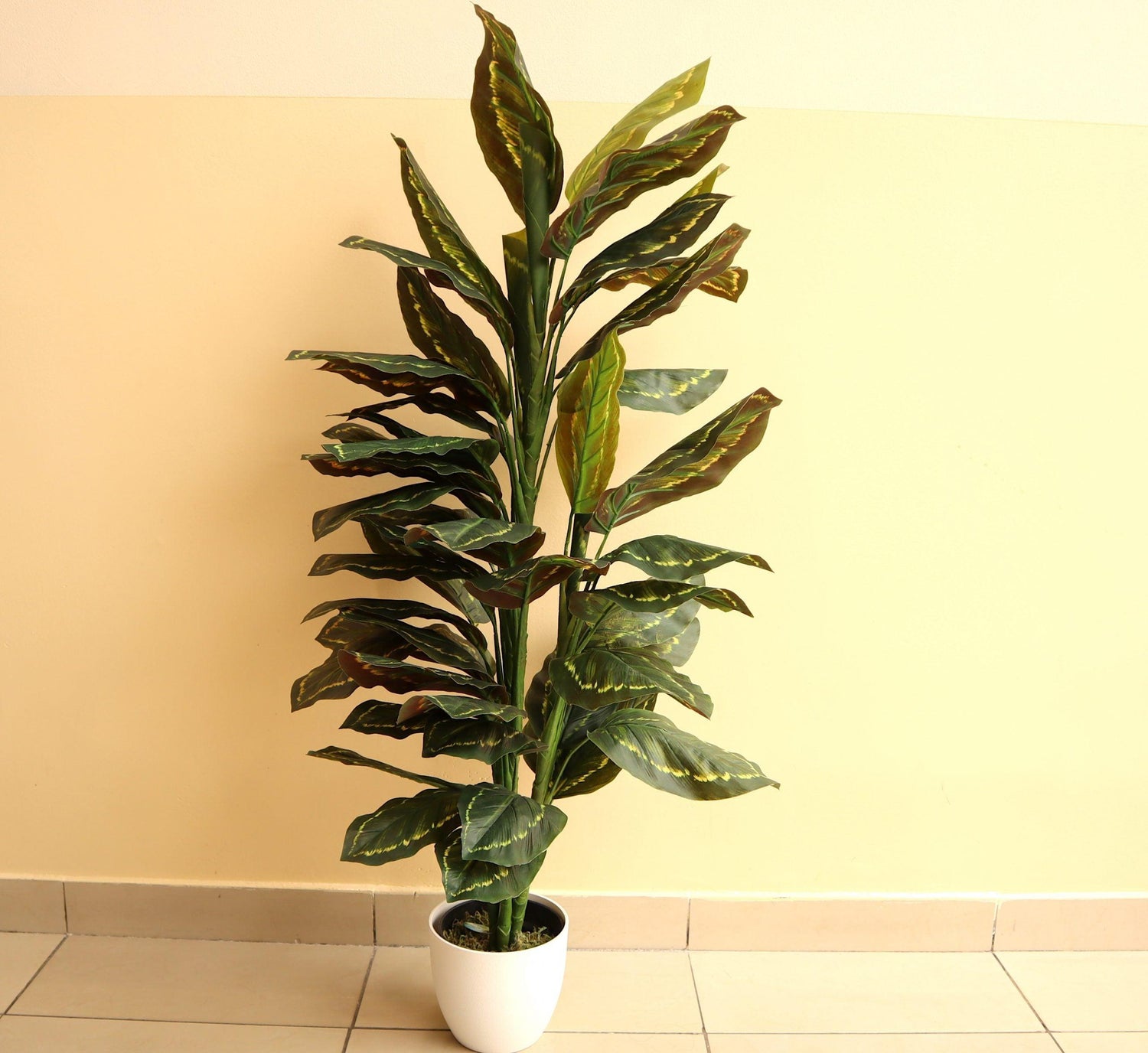 Artificial Calathea Peacock Plant “Zebra Plant” 130cm