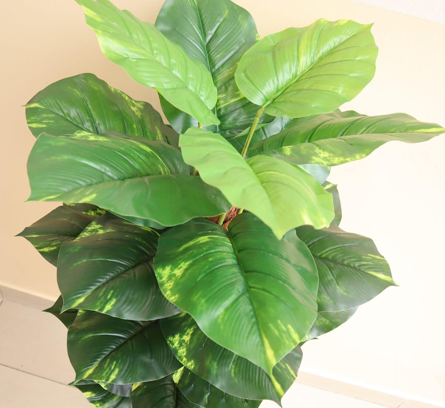 Artificial Money Plant 130cm