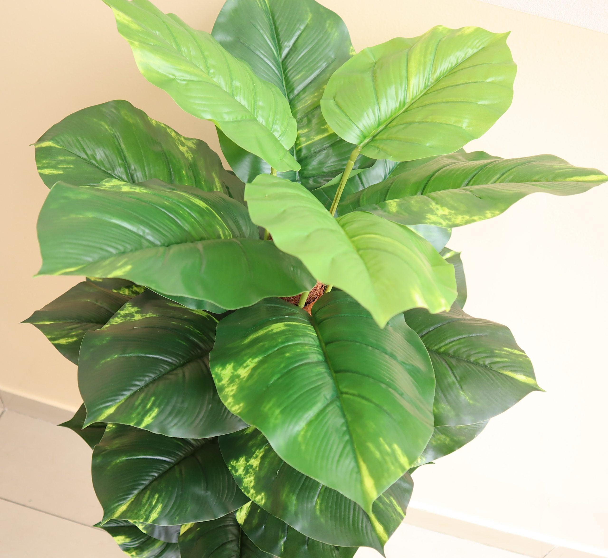 Artificial Money Plant 130cm