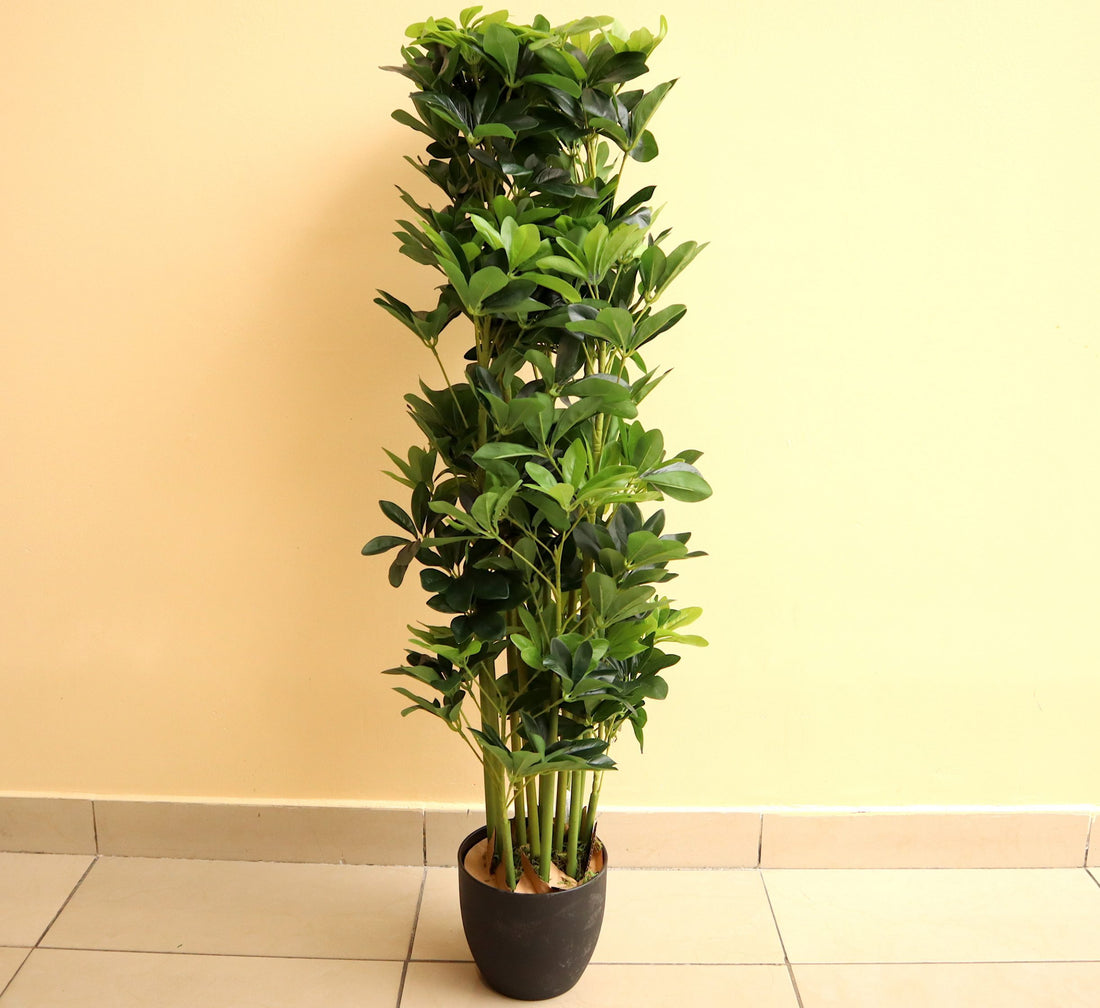 Artificial Schefflera arboricola “Green” 120cm
