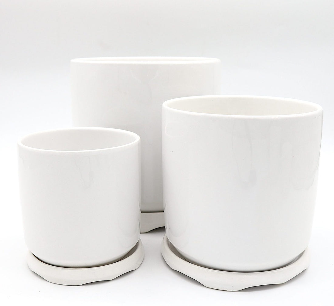 Indoor White Ceramic Pot with attached Saucer