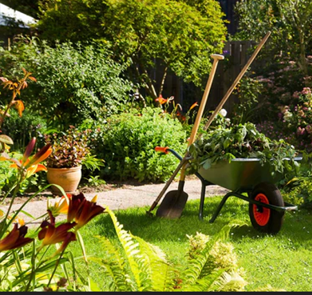 Screenshot_249.png__PID:68fe104e-c59a-4580-a167-9648071e107f