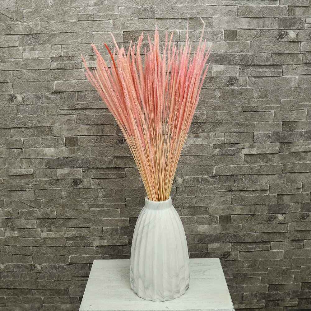 Natural Dried Flower Pink Golden Grass UAE -Goldgrass-001