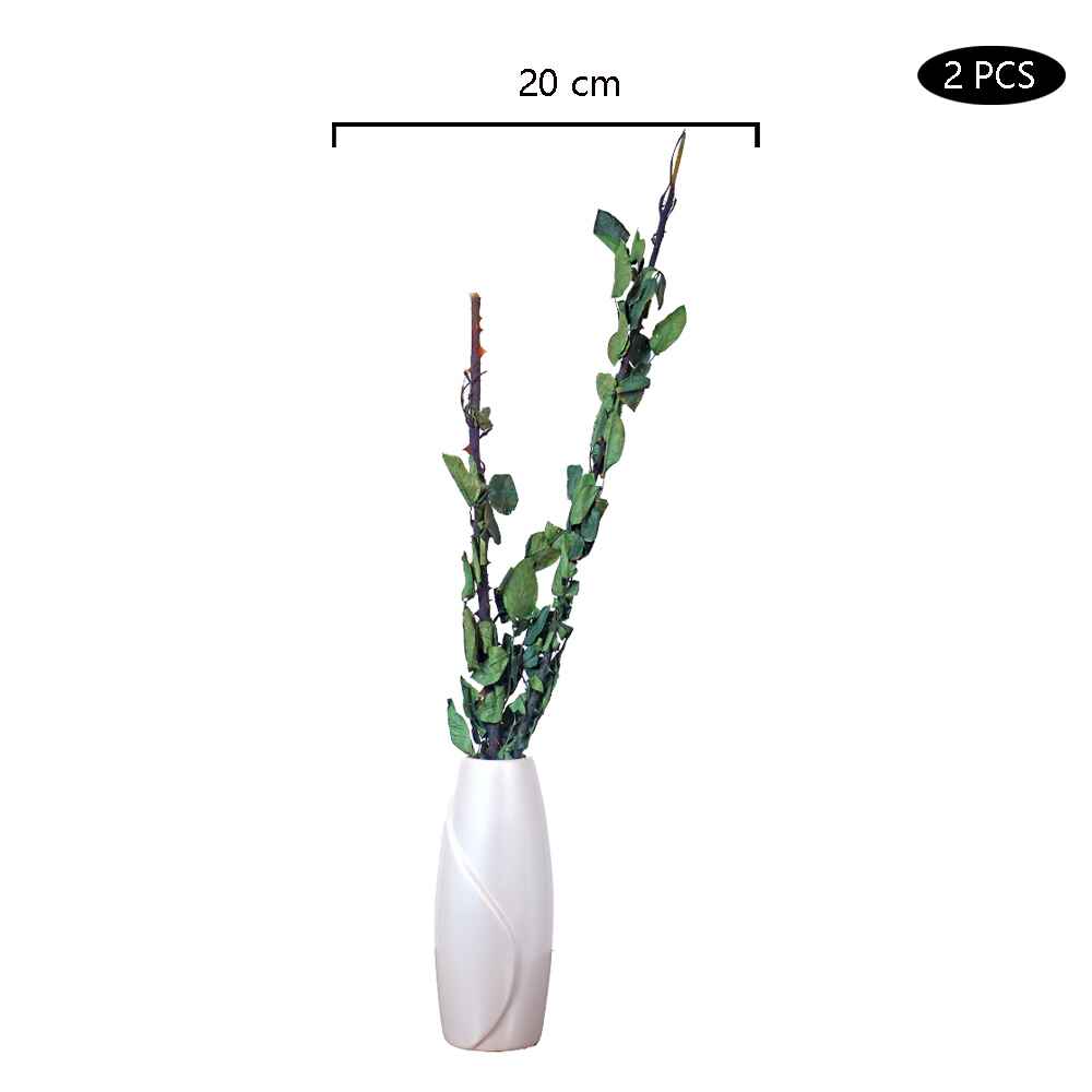 Dried Roseleaf Stem-D-ROSELEAF001