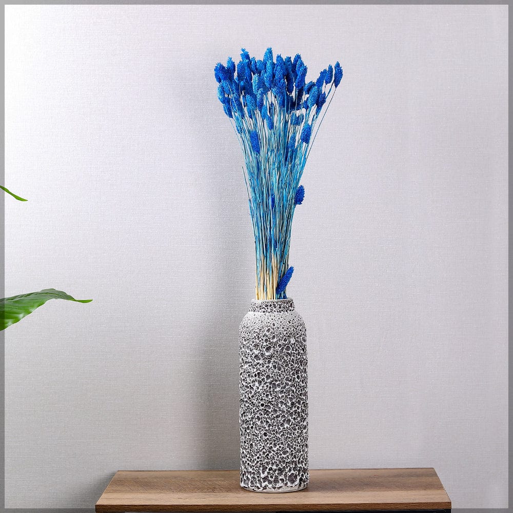 Two Bunches Dried Phalaris Grass