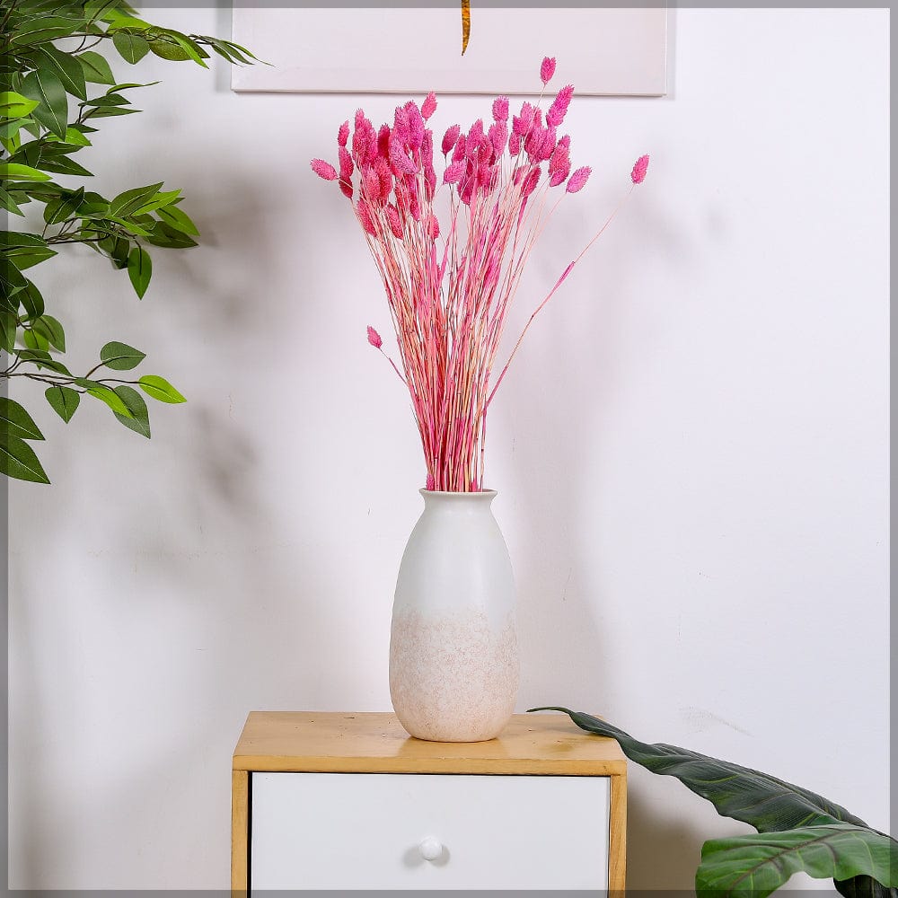 Two Bunches Dried Phalaris Grass