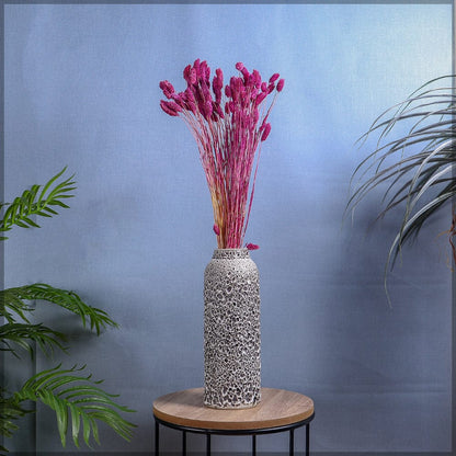 Two Bunches Dried Phalaris Grass