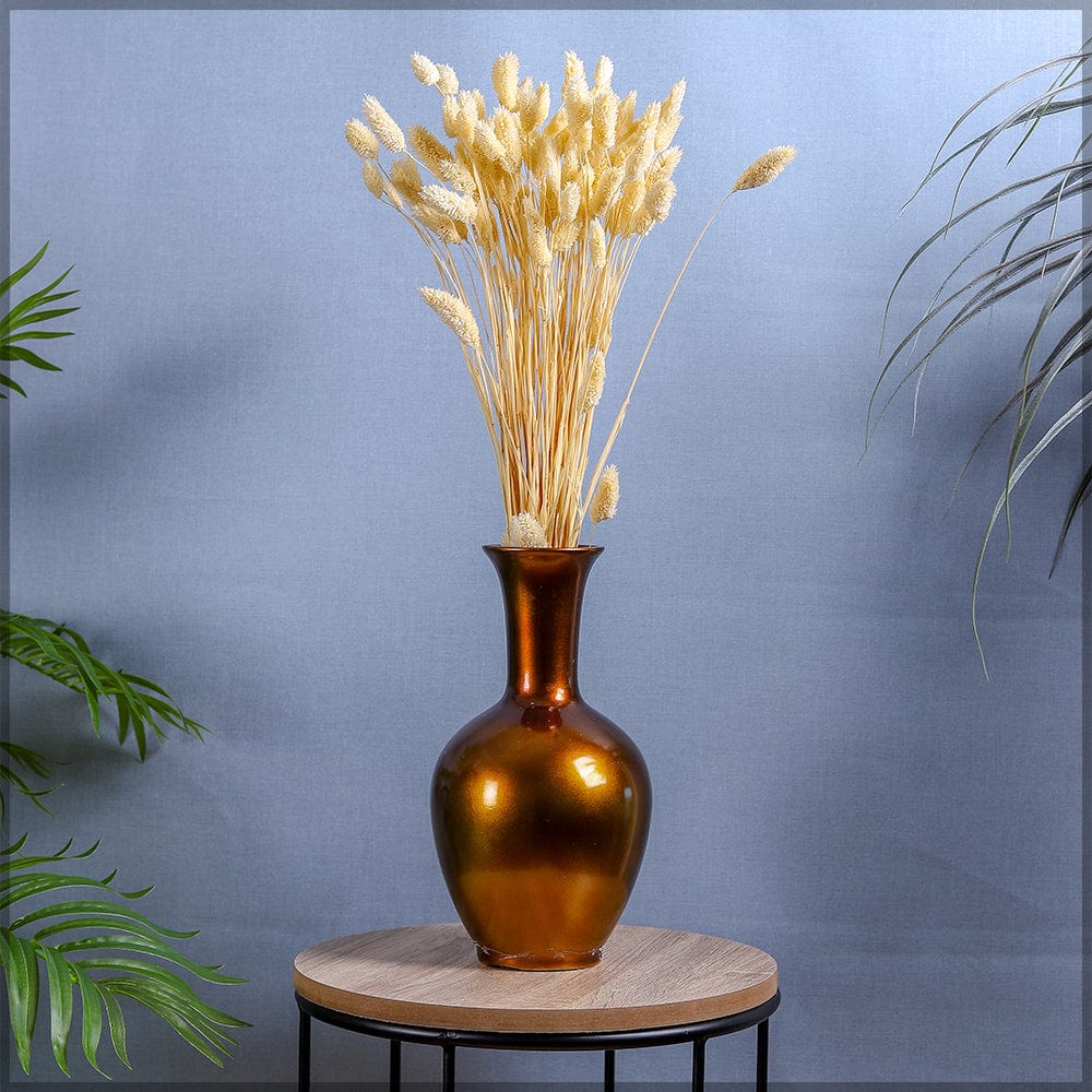 Two Bunches Dried Phalaris Grass