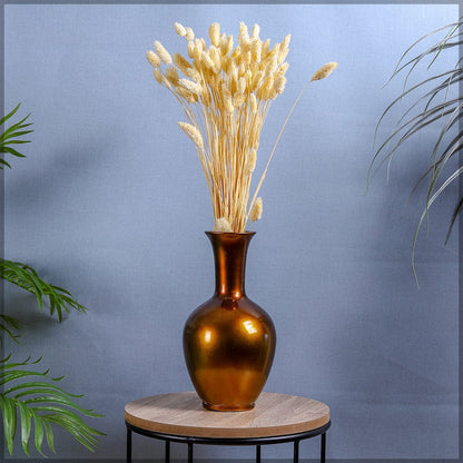 Two Bunches Dried Phalaris Grass