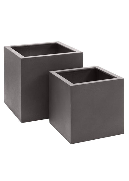 Aspiradas | Aspidistras Indoor Plant | Cast Iron Plant